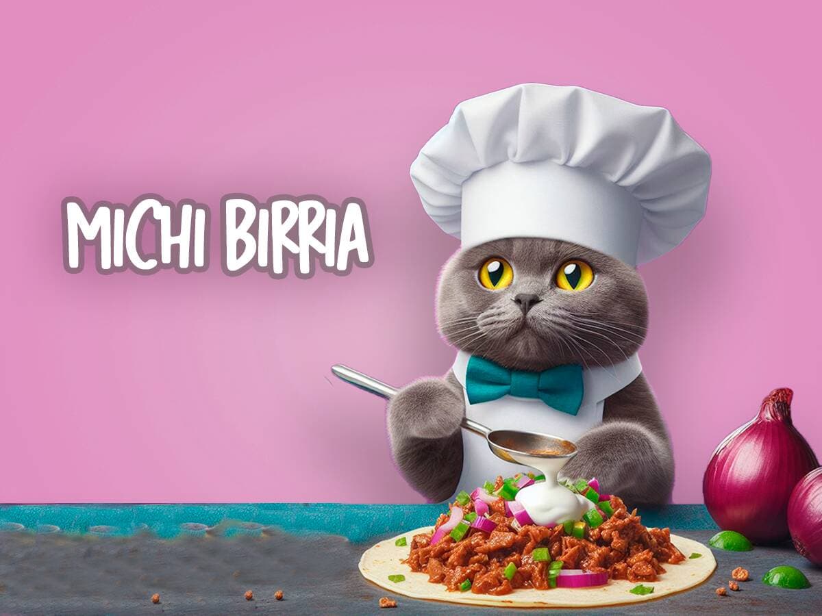 Michi Birria