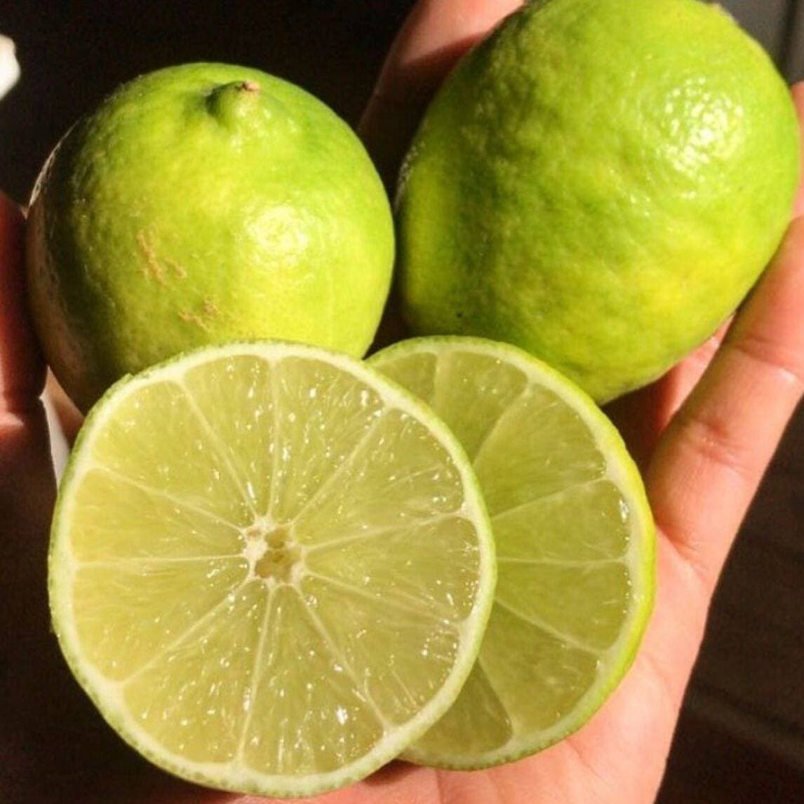 Limones Extras