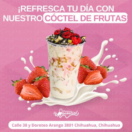 Cóctel de Frutas Chico 14oz