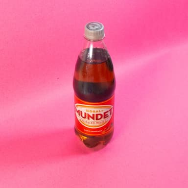 Mundet (600ml)