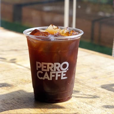 Cold Brew Chico 12 oz