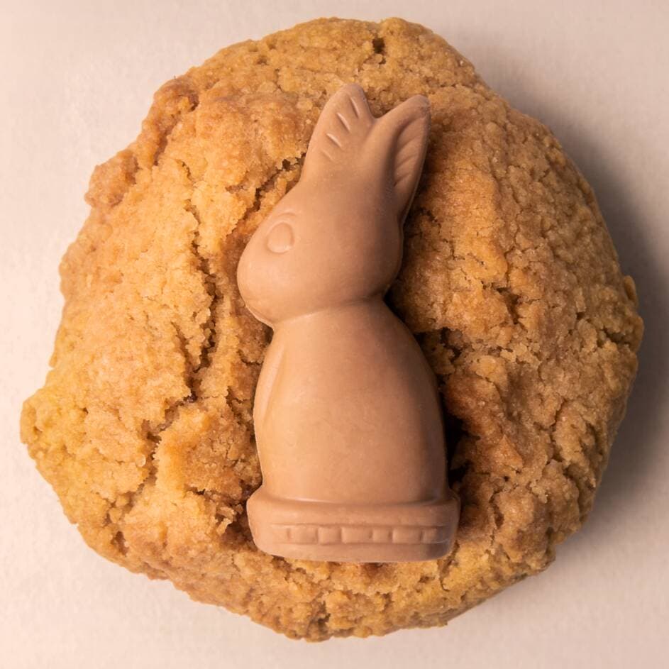 Galleta de Conejito Turin®