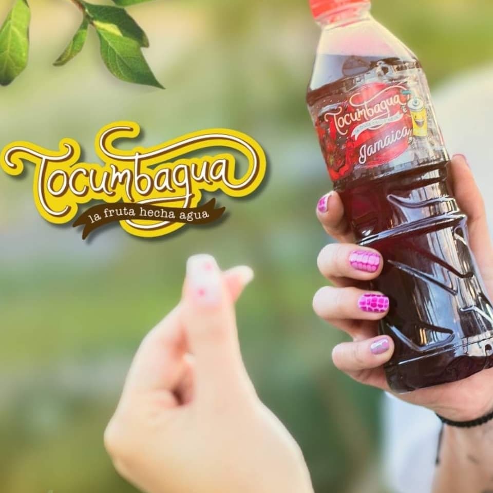 Agua de Jamaica