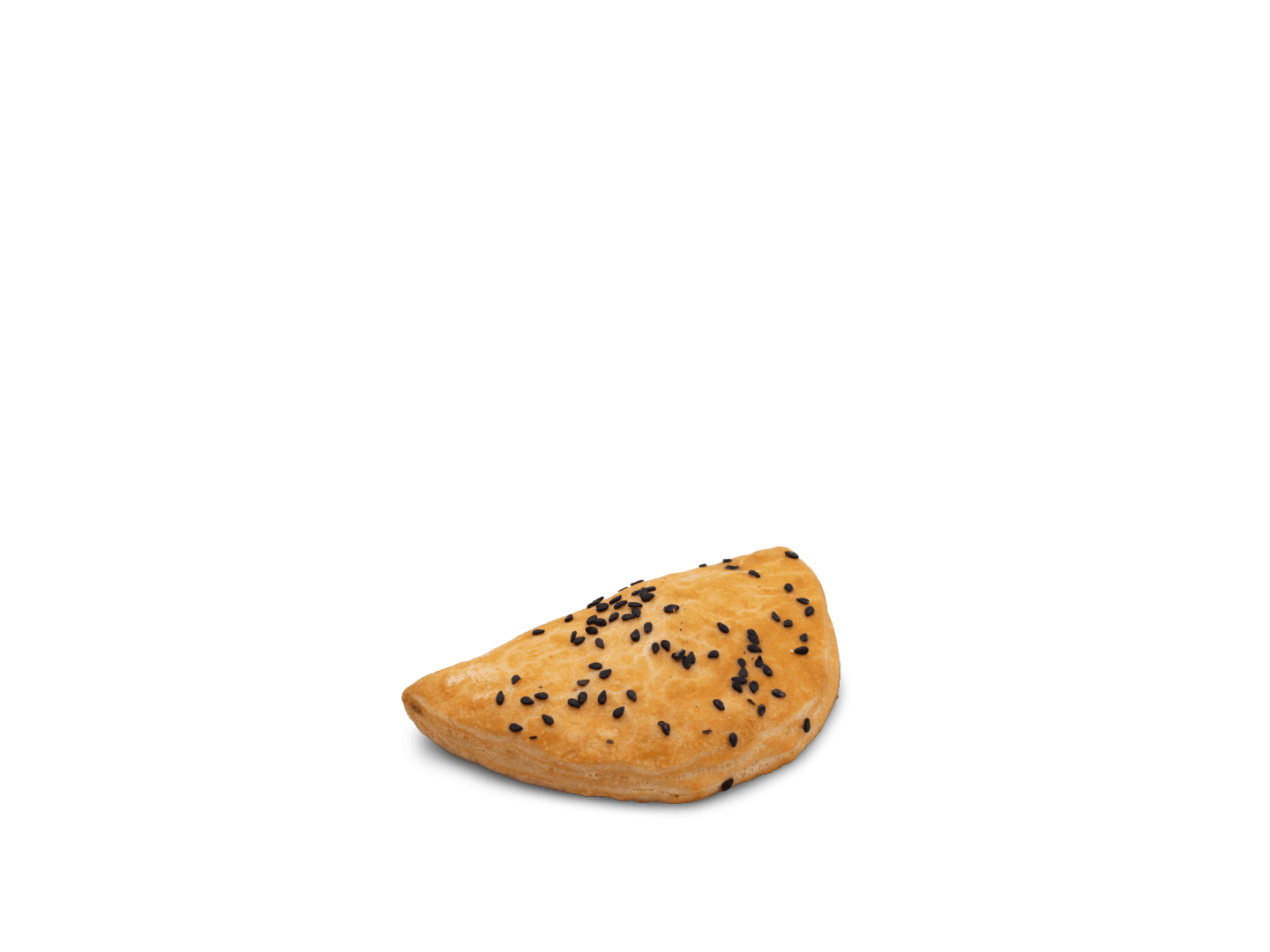 Empanada de Carne
