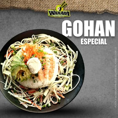Gohan Especial
