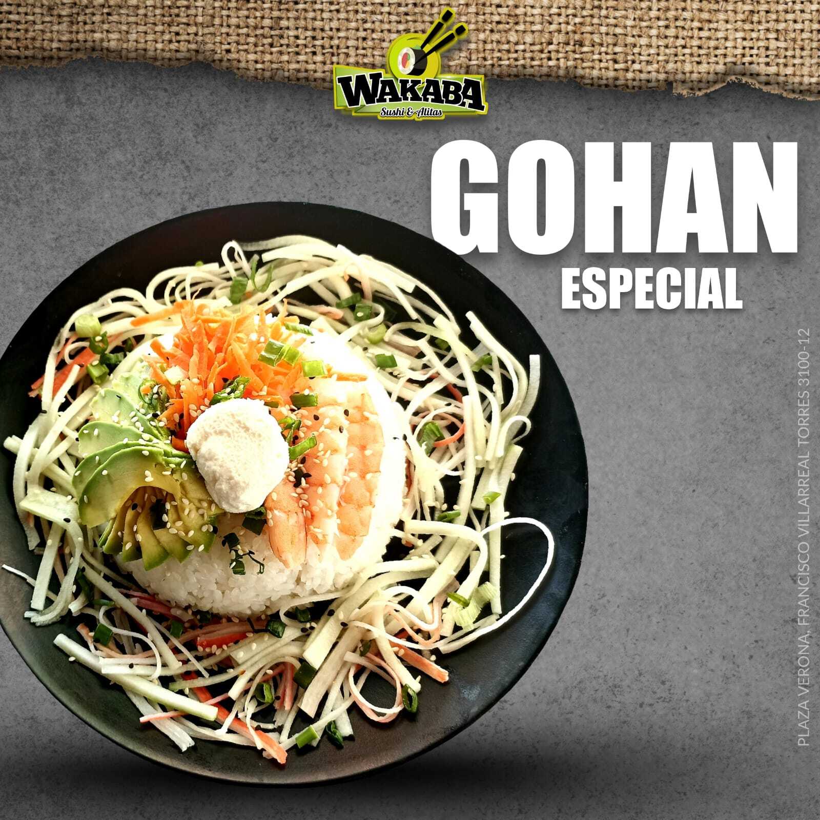 Gohan Especial