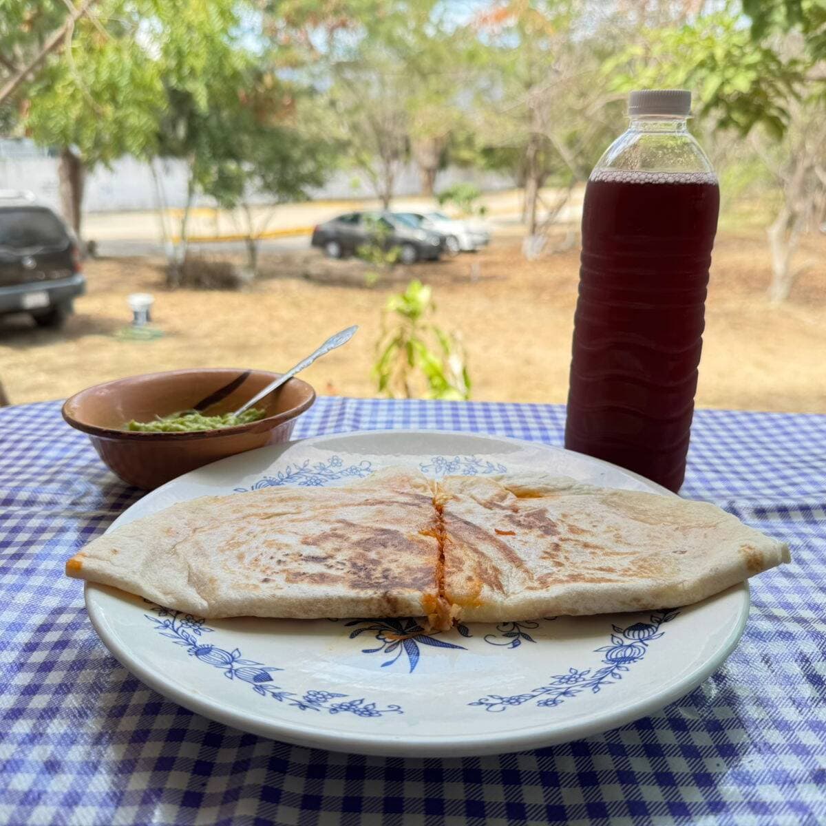 Quesadilla de Pollo