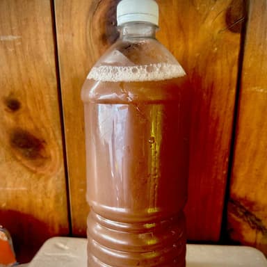 AGUA DE TAMARINDO (1 LITRO)