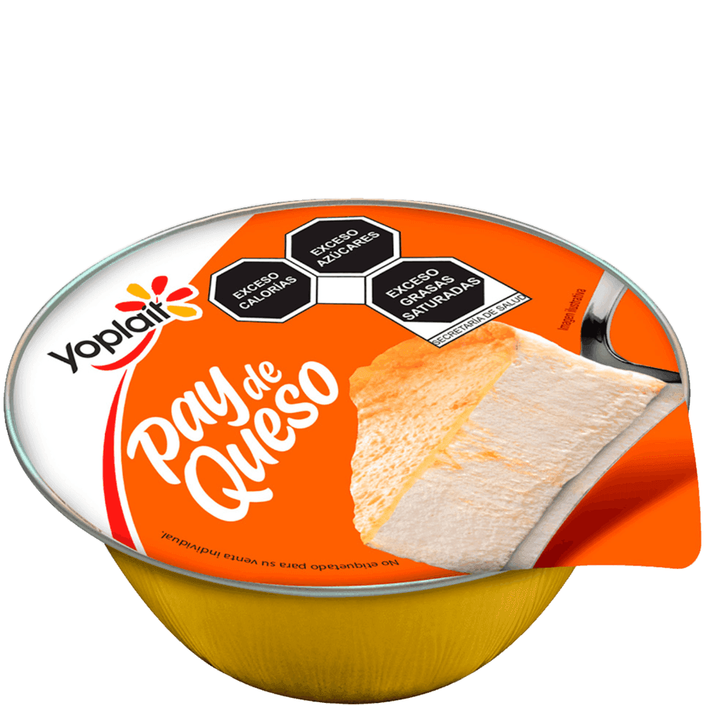 PAY YOPLAIT IND QUESO 100G