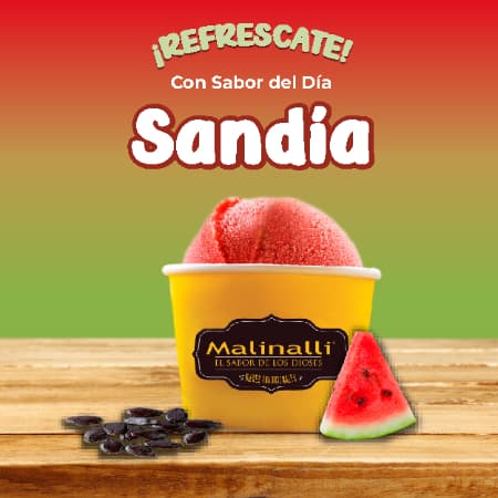 Medio Litro de Nieve  (Sabor del Dia)