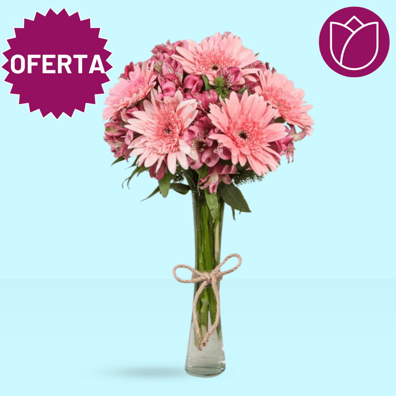GERBERAS Y ASTROMELIAS