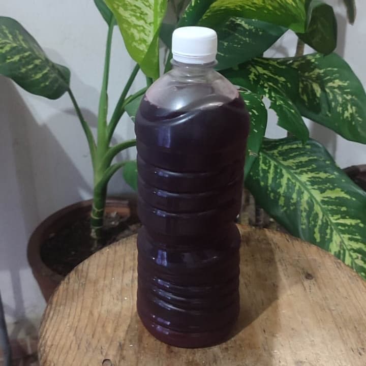 Agua de Jamaica 1 L