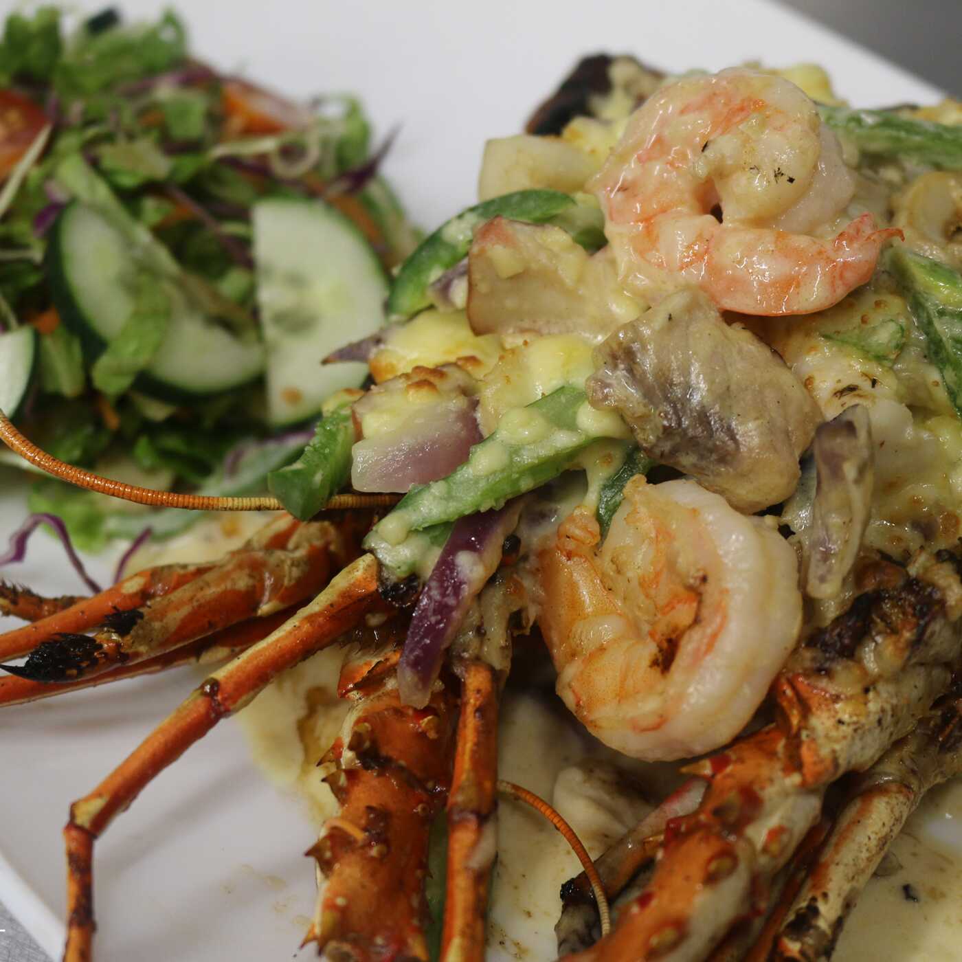 Langosta Termidor Gratinada