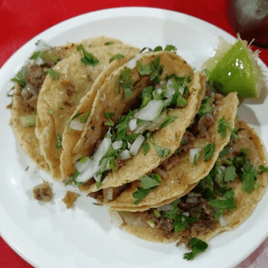 Tacos Bistec