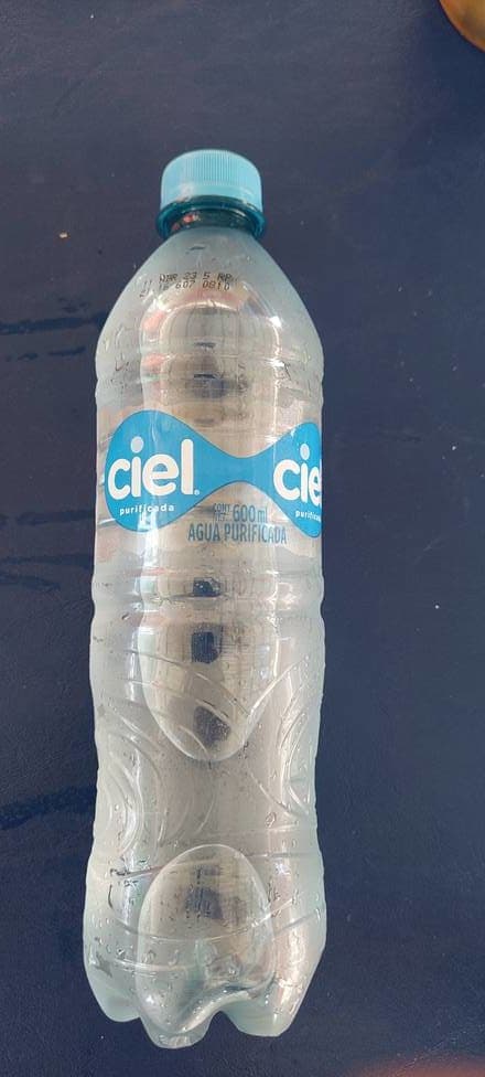 Agua Natural Ciel 600 Ml Desechable