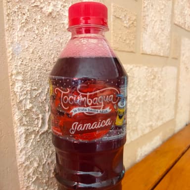 Agua de Jamaica