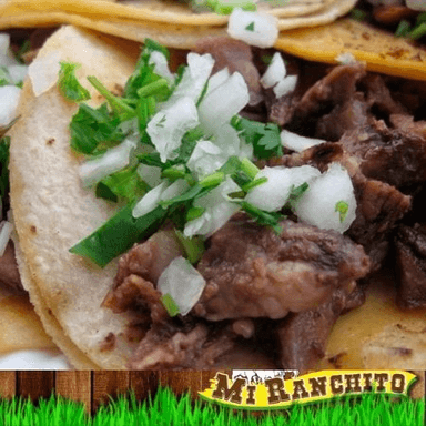 Taco Barbacoa de Res Surtido