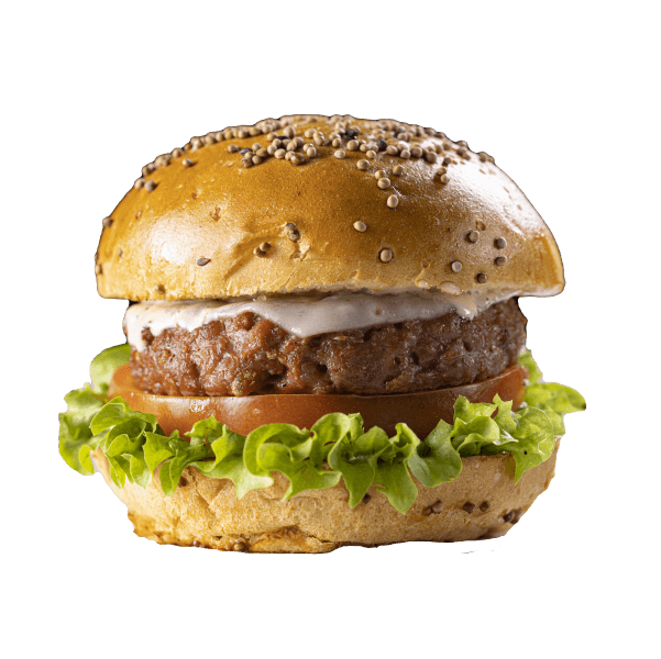 BEYOND BURGER COMBO