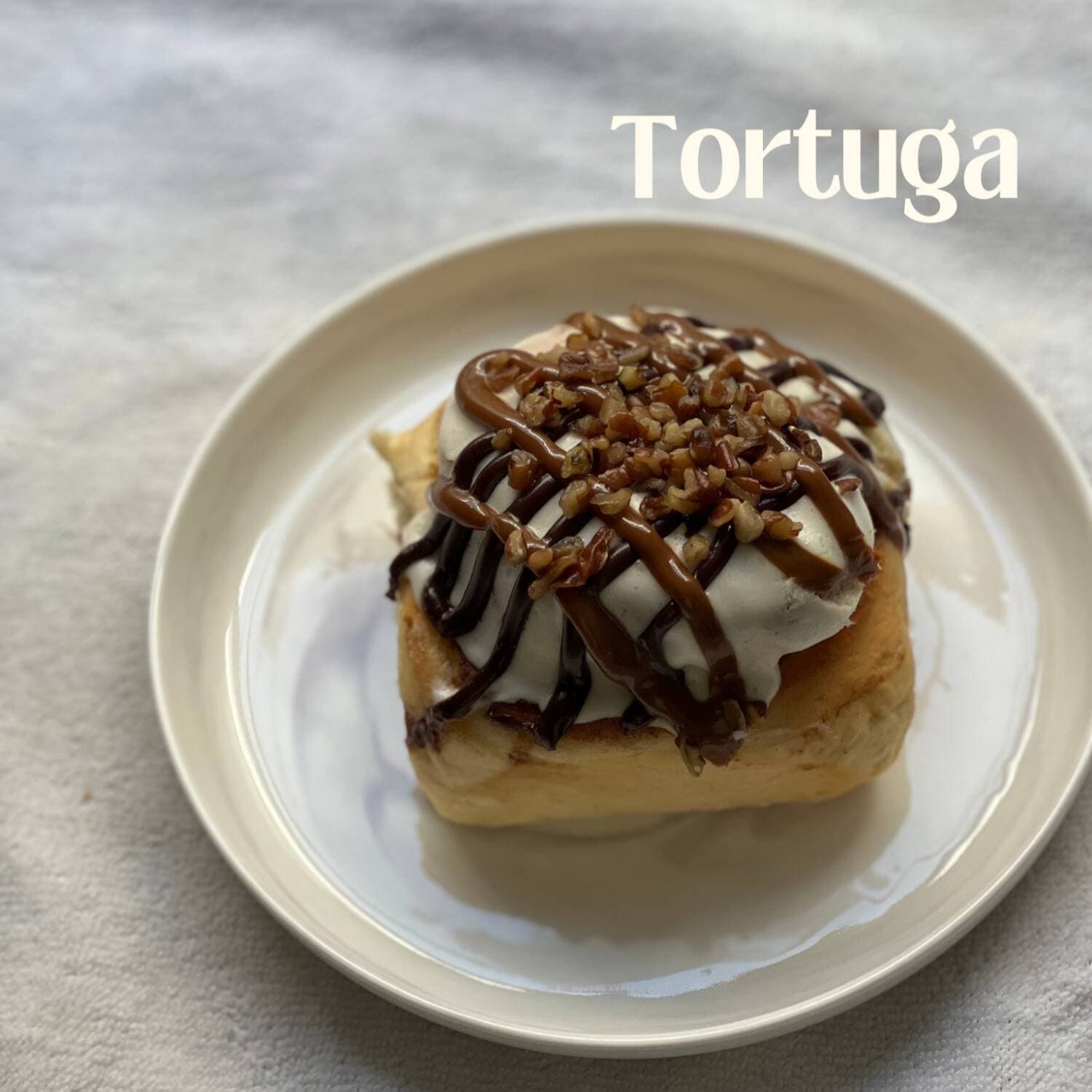 Rol Tortuga