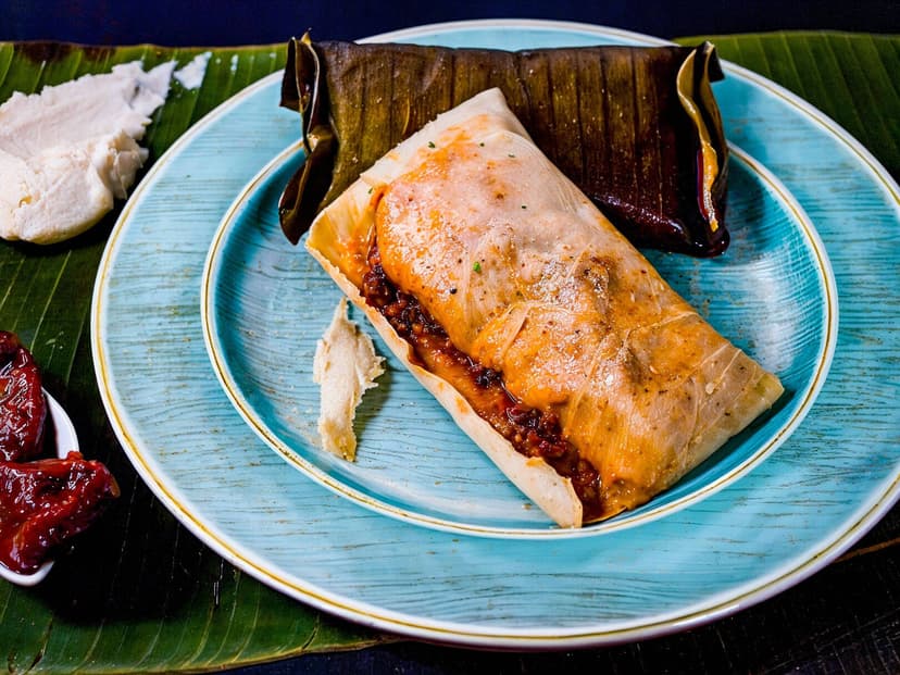 TAMALES TAMALHOUSE (SUC. VILLAS DEL REAL)