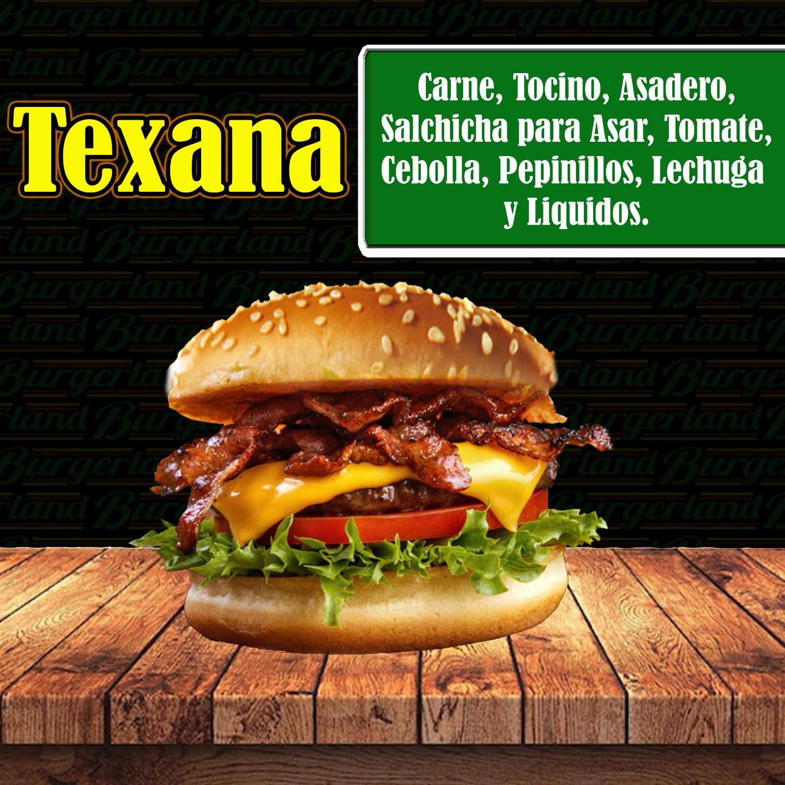 Didi Hamburgesa Texana