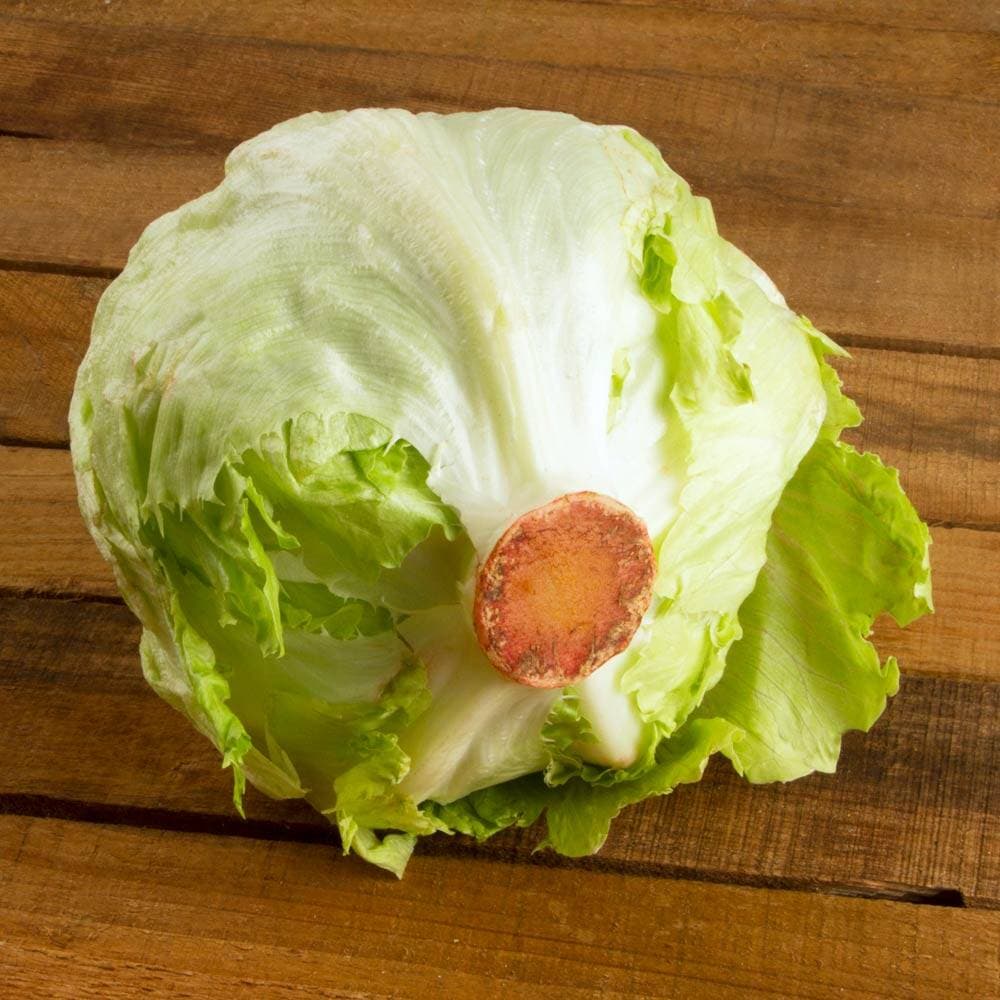 Lechuga Romana Pza