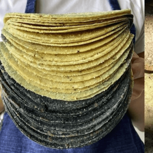 Tortillas de Maíz