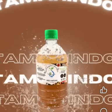 Agua de Tamarindo  Litro