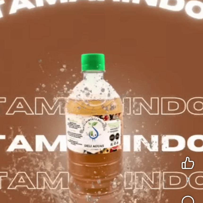 Agua de Tamarindo  Litro