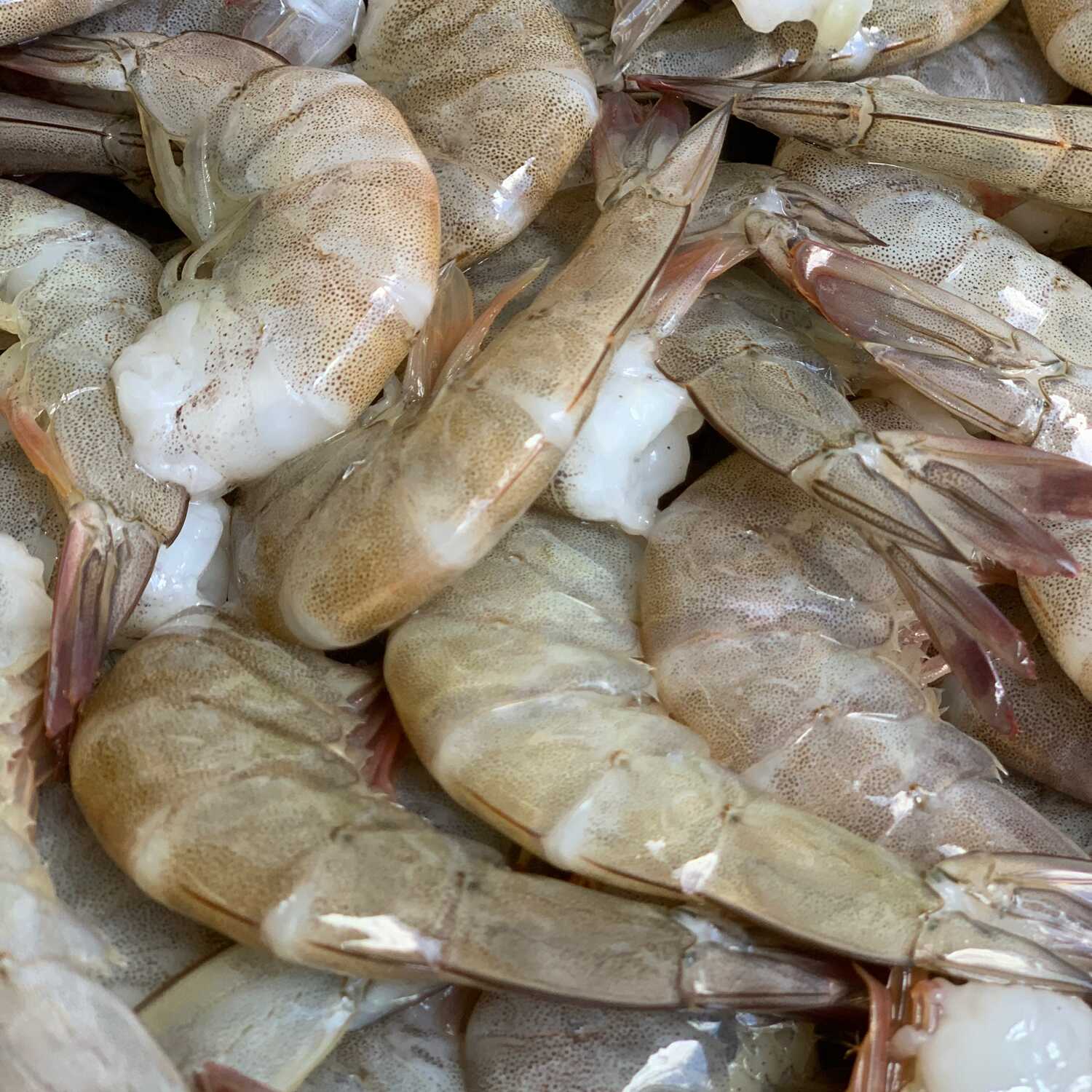 Camarón 41-50 con cáscara 250g