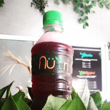 Agua de Jamaica 500 ml