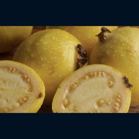 LICUADO DE GUAYABA