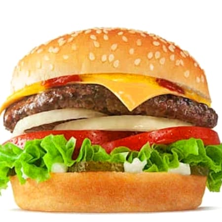 HAMBURGUESA SENCILLA