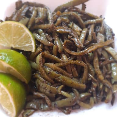 Nopales
