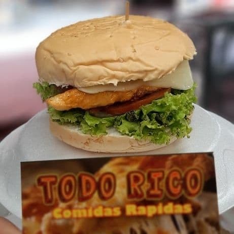 Hangurguesa De Carne