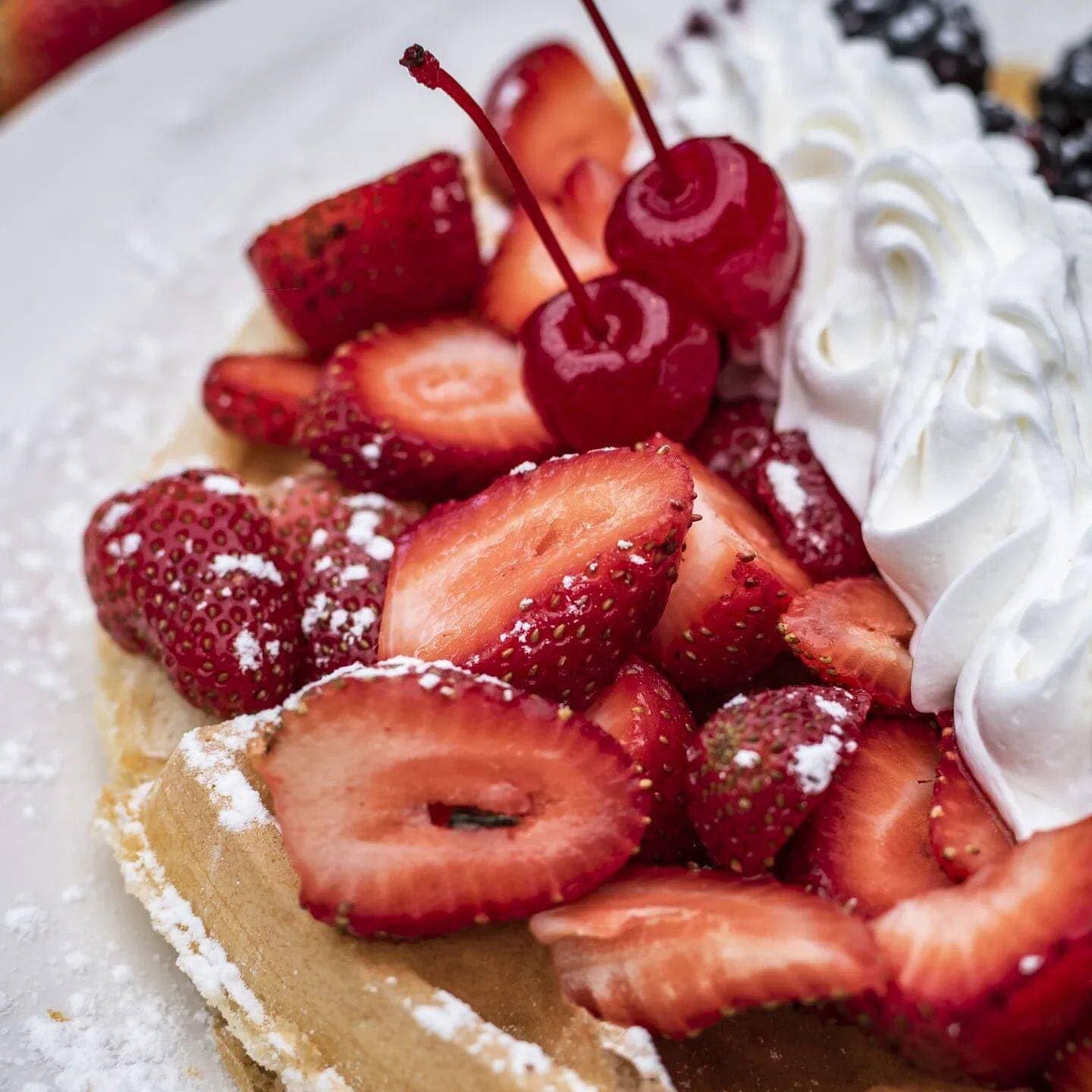 Waffle Silvestre