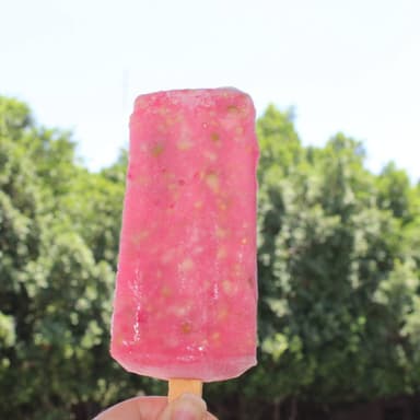 Paleta de Agua