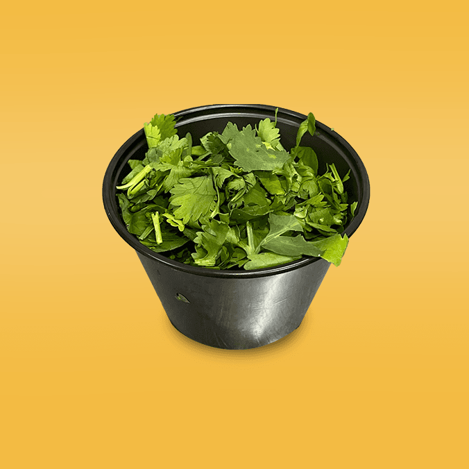 Cilantro