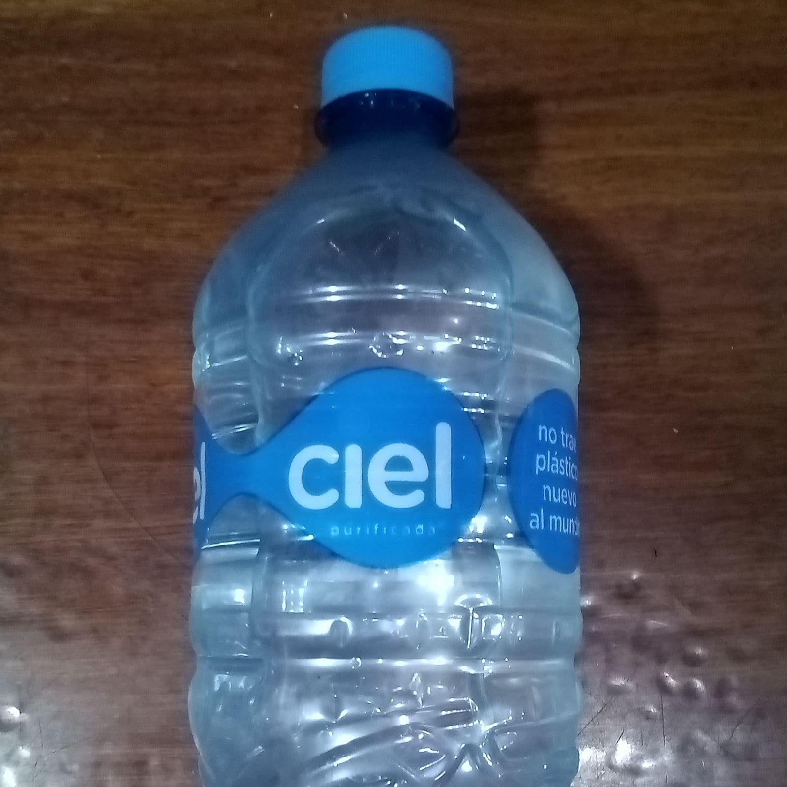 Agua Natural Litro