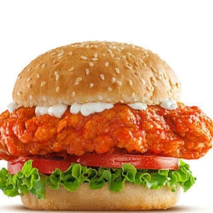 COMBO BUFFALO BURGER