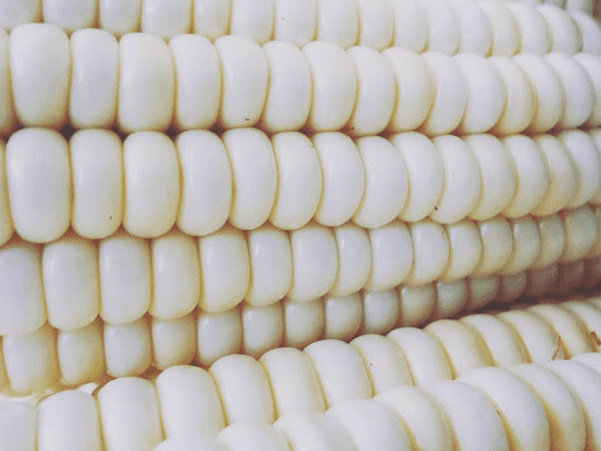 Elotes La Güera