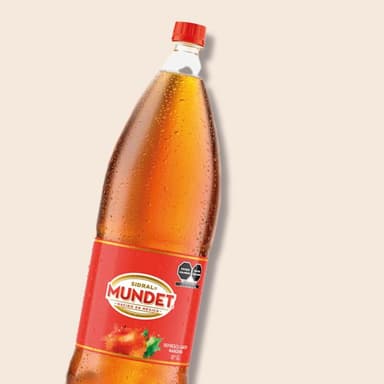 Sidral Mundet 2Lt