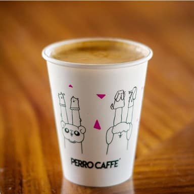 Capuccino Chico 12 Oz