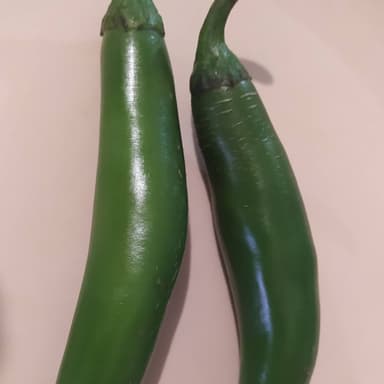 Chile serrano