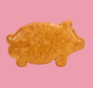 Marranito