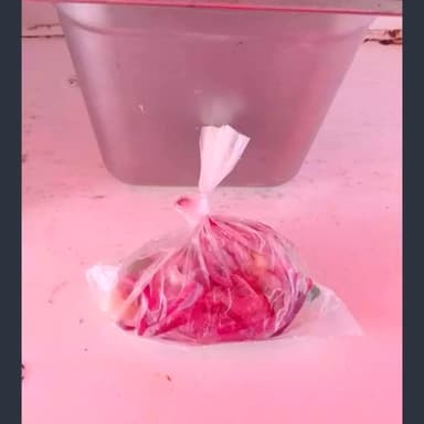 Cebollas Curtidas Extra