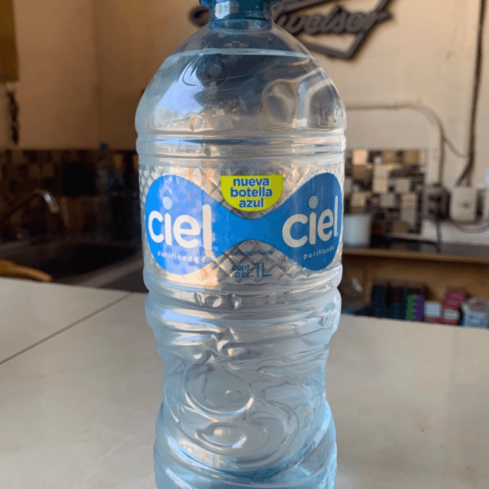 Agua Natural 1 Litro