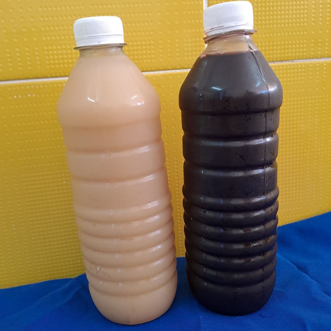 1/2 L Agua de Jamaica y Cebada
