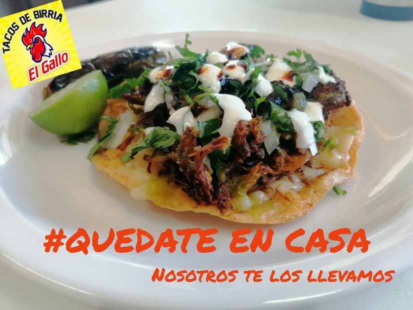 Tacos de Birria El Gallo