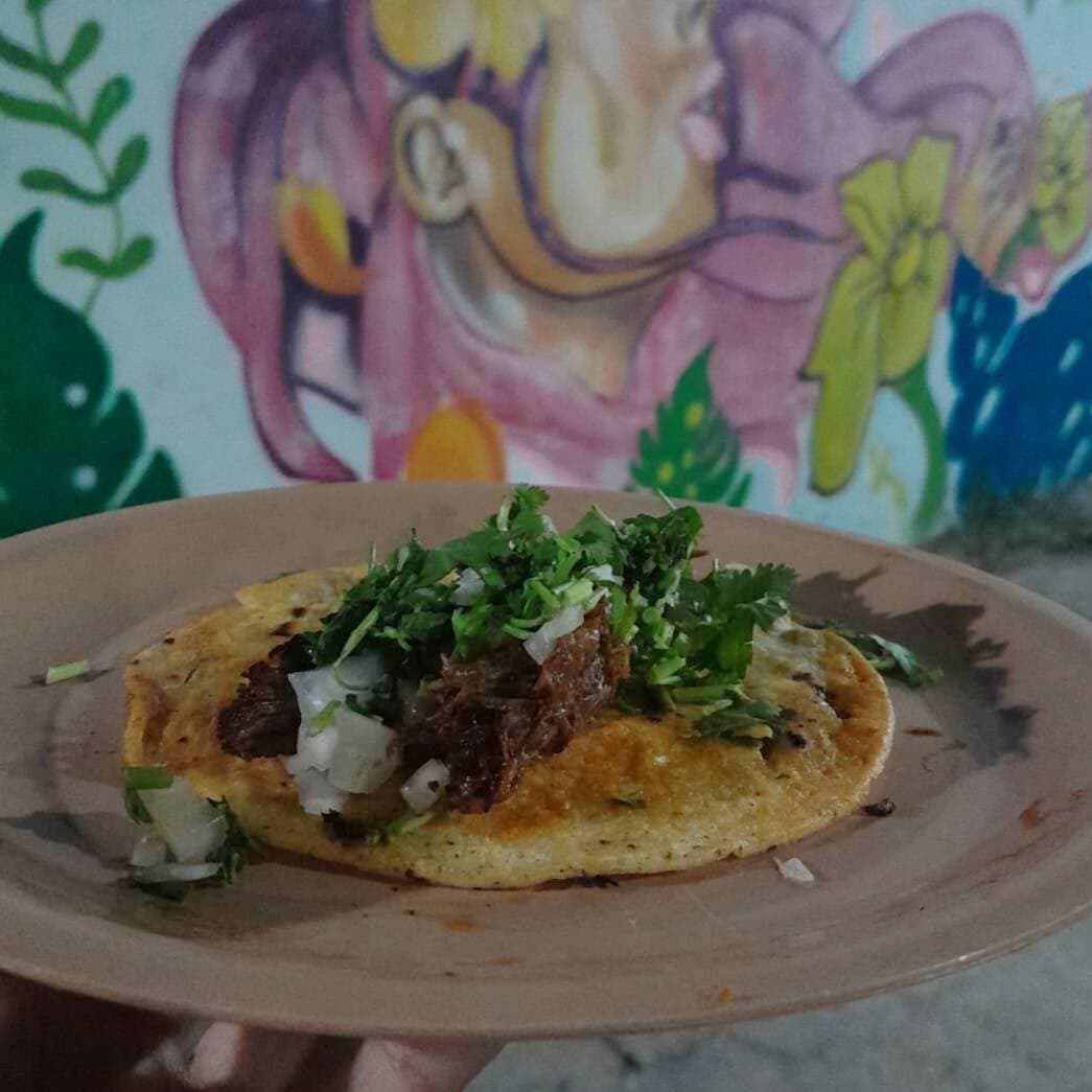 Taco de Birria